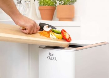 Un nuevo electrodoméstico que convierte los restos de comida en abono en 48 horas.