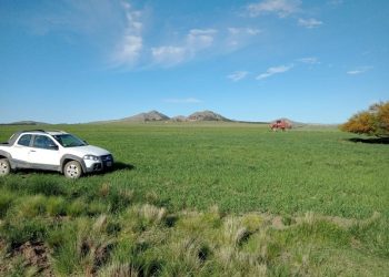 Las aplicaciones de agroquímicos periurbanas deberán gestionarse a través de la web municipal