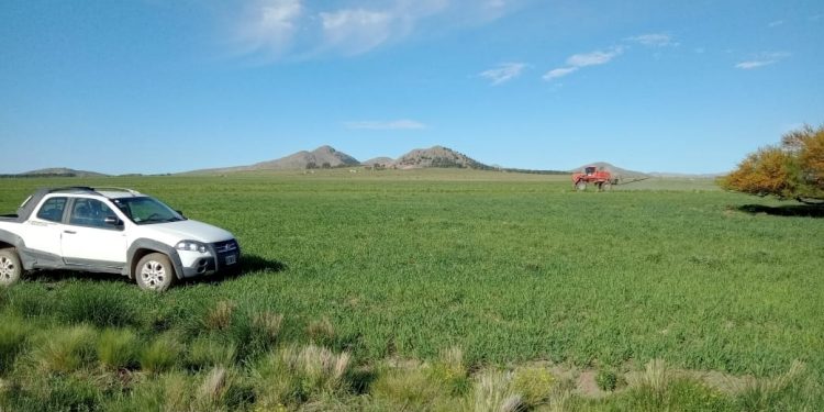 Las aplicaciones de agroquímicos periurbanas deberán gestionarse a través de la web municipal