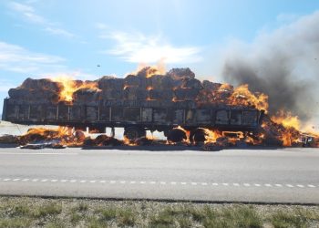 Un incendio destruyó la carga de un camión que transportaba fardos de cartón a la papelera de Tornquist