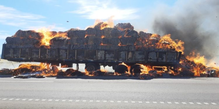 Un incendio destruyó la carga de un camión que transportaba fardos de cartón a la papelera de Tornquist