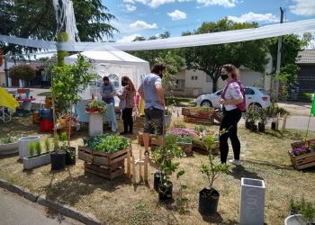 VIVERO BLUMENAU realizó la 9° Feria de Plantines