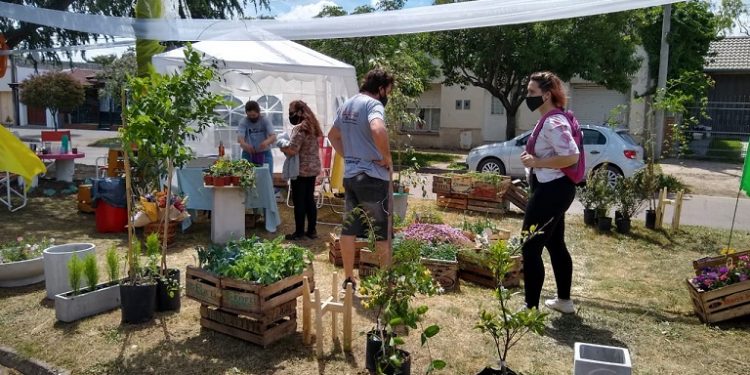 VIVERO BLUMENAU realizó la 9° Feria de Plantines
