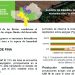 REPORTE AVANCE SIEMBRA GRUESA