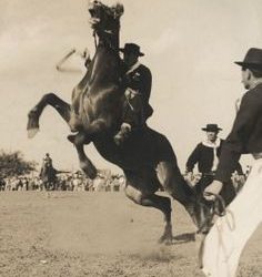 RECUERDOS: “Aquella doma del Colegio Nacional en 1953”