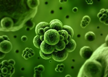 La Secretaría de Salud reportó 7 nuevos casos de covid