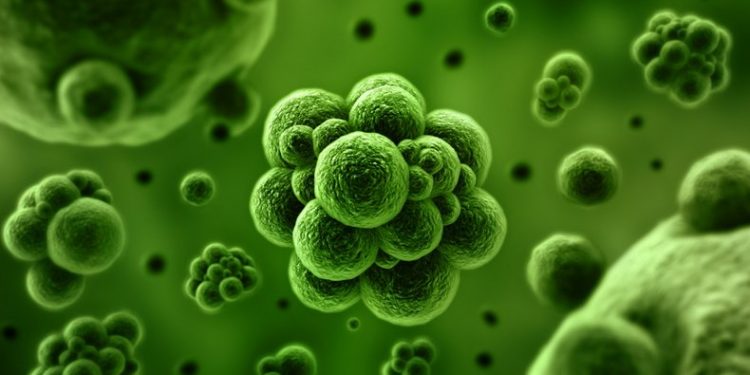 La Secretaría de Salud reportó 7 nuevos casos de covid