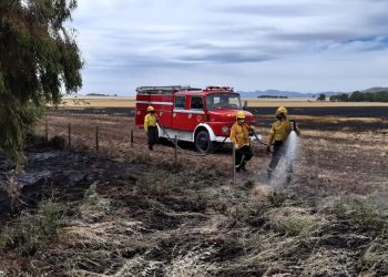 Incendio de pastos en un establecimiento rural de la zona de Tres Picos (Fotos)
