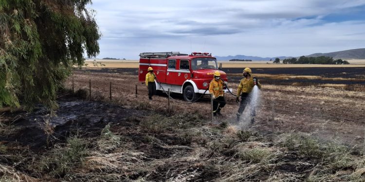 Incendio de pastos en un establecimiento rural de la zona de Tres Picos (Fotos)