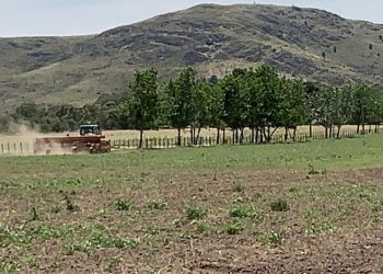 Comienza a desarrollarse la huerta comunitaria de Saldungaray