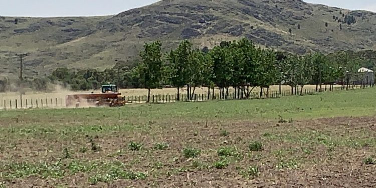 Comienza a desarrollarse la huerta comunitaria de Saldungaray