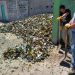 SE RECUPERARON 7.500 KILOS DE VIDRIO EN DOS MESES