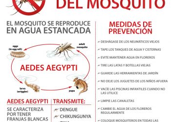 Dengue: Solicitan mantener cloradas las piscinas domiciliarias