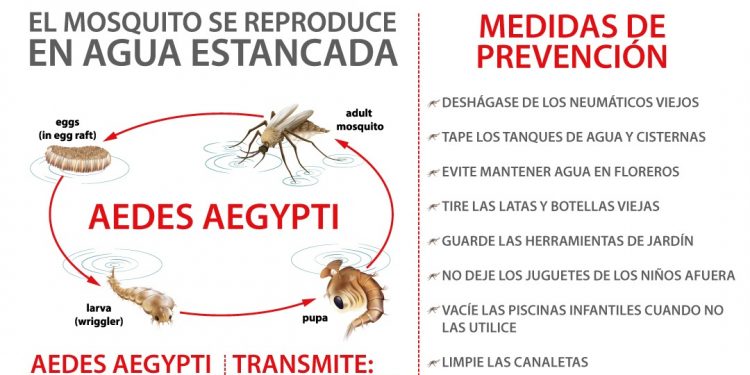 Dengue: Solicitan mantener cloradas las piscinas domiciliarias