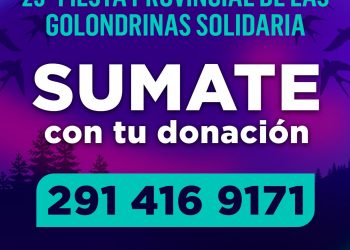 SE VIENE LA 29VA FIESTA PROVINCIAL DE LAS GOLONDRINAS