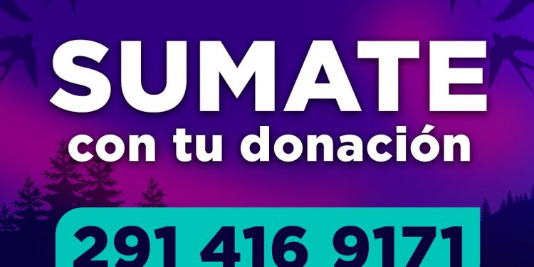 SE VIENE LA 29VA FIESTA PROVINCIAL DE LAS GOLONDRINAS