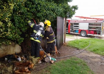 Ventura Picado e Inmigrantes: Se registró un Incendio en el patio de una vivienda