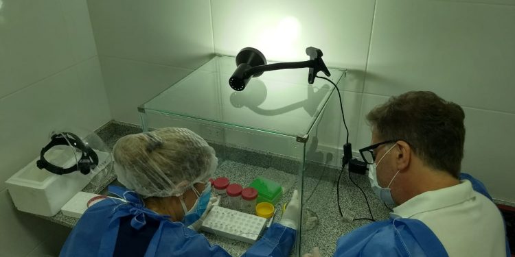 El Hospital de Tornquist podrá realizar los diagnósticos de Covid-19