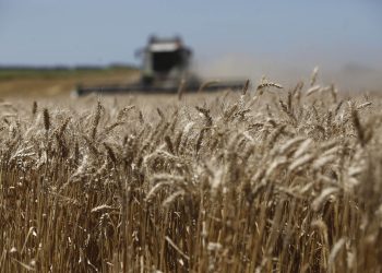 Recomendaciones para prevenir incendios en el campo en cosecha