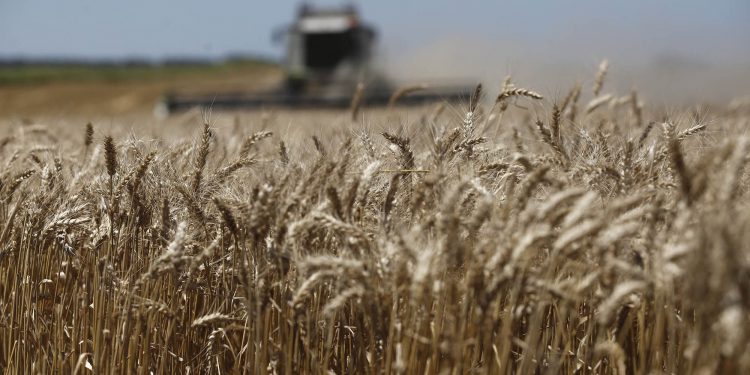 Recomendaciones para prevenir incendios en el campo en cosecha