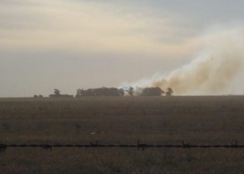 Salida de Bomberos: Incendio forestal camino a Chasicó (foto y video de celttv)