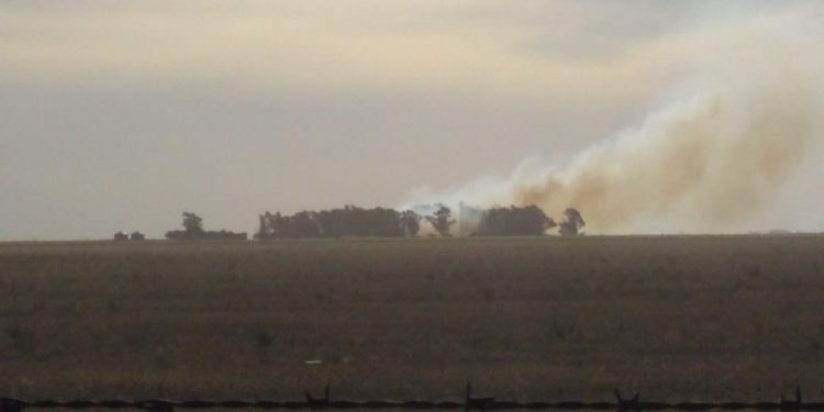 Salida de Bomberos: Incendio forestal camino a Chasicó (foto y video de celttv)