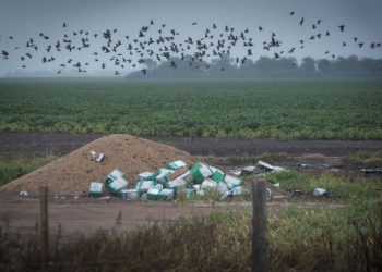 Histórico: el Estado reconoce la relación entre agroquímicos y cáncer