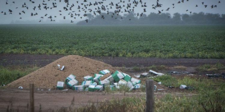 Histórico: el Estado reconoce la relación entre agroquímicos y cáncer