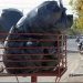 El martes 16 no habrá recolección de residuos en Tornquist