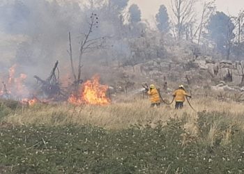 Bomberos de Tornquist y Villa Ventana combatieron un incendio en el sector del Abra (imágenes, fotos y nota de CELTTV. Noticias)