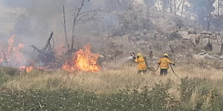 Bomberos de Tornquist y Villa Ventana combatieron un incendio en el sector del Abra (imágenes, fotos y nota de CELTTV. Noticias)