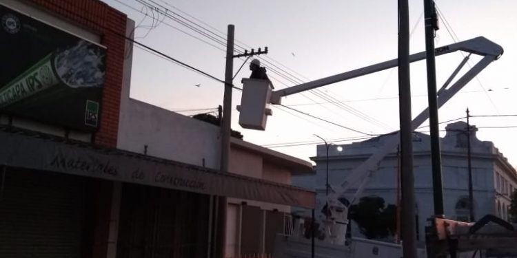 La CELT realizó tareas de mantenimiento en el centro de la ciudad