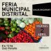 La Feria Municipal Distrital, este viernes en Saldungaray