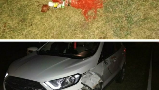 Necesitan 30 dadores de sangre para un hombre de Tornquist que se accidentó este lunes