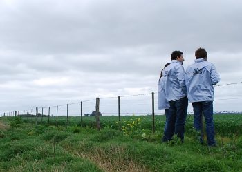 ARBA detectó maniobras de evasión por $354 millones en el sector rural