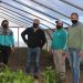 Continúa a buen ritmo la producción en la Huerta Municipal (notas y fotos de CELTTV Noticias)