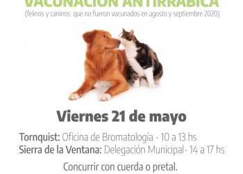 Comenzarán aplicarse vacunas antirrábicas en Tornquist y Sierra de la Ventana