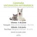 Viernes 4 y sábado 5 habrá vacunación antirrábica en Tornquist y Tres Picos