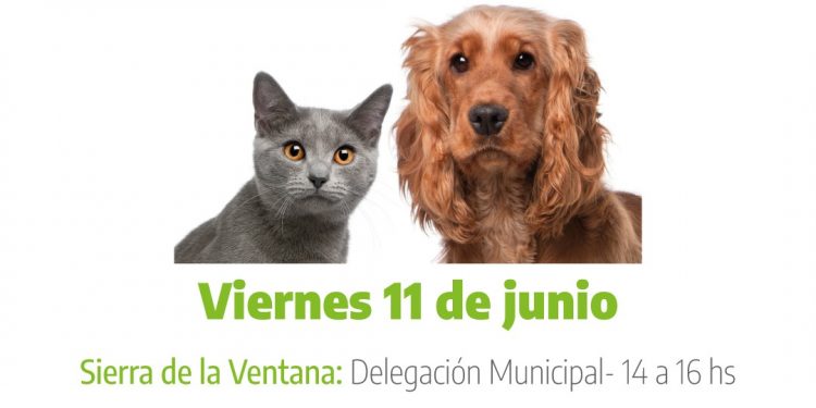 Sierra de la Ventana: vacunación antirrábica para felinos y caninos