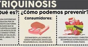 Triquinosis: convocatoria a productores a presentar muestras de faena