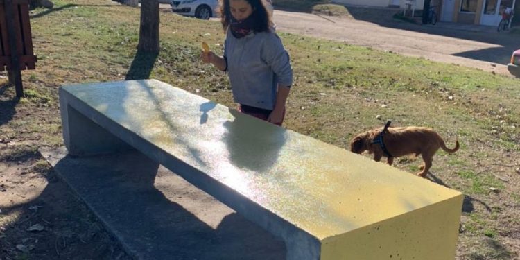 Gestión público-privada y participación comunitaria para embellecer espacios públicos