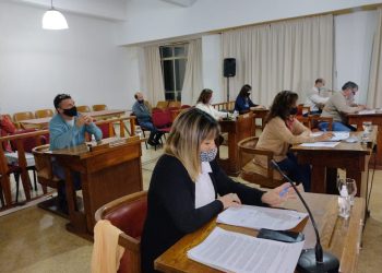 Los temas tratados y todo lo que se dijo en la última sesión del HCD.