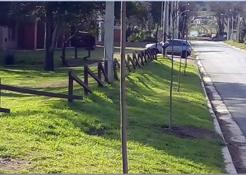 Comenzó la forestación de la calle Ernesto Tornquist de Sierra de la Ventana