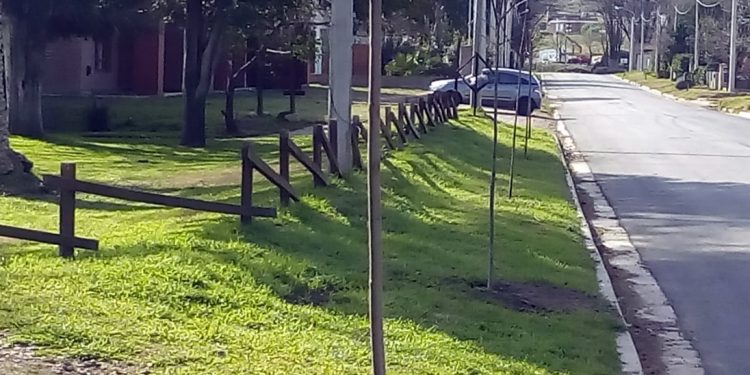 Comenzó la forestación de la calle Ernesto Tornquist de Sierra de la Ventana