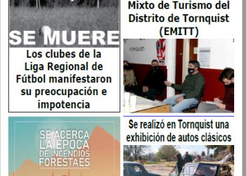 Observador Serrano 1709 PDF