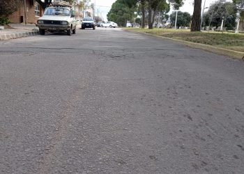 El ejecutivo solicitó al Honorable Concejo Deliberante que se expida sobre la intervención del arbolado público