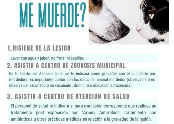 28 de septiembre: Día Mundial contra la Rabia