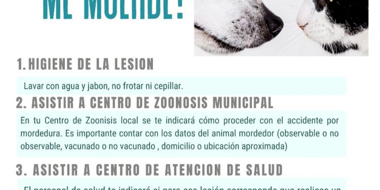 28 de septiembre: Día Mundial contra la Rabia