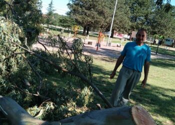 Nuevamente se registraron caídas de ramas en el Parque Lineal producto de los fuertes vientos