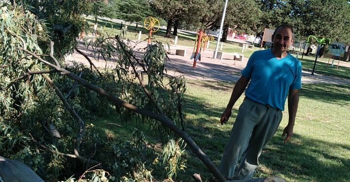 Nuevamente se registraron caídas de ramas en el Parque Lineal producto de los fuertes vientos
